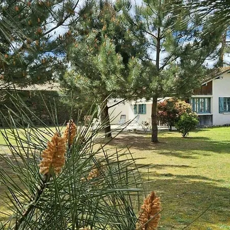 度假居 Brimborion 米尼赞海滩